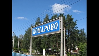 Витас - Комарово